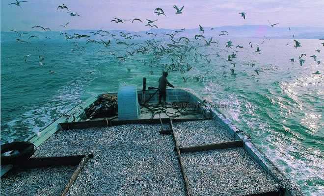 Karadeniz Alarm Veriyor Deniz Haber