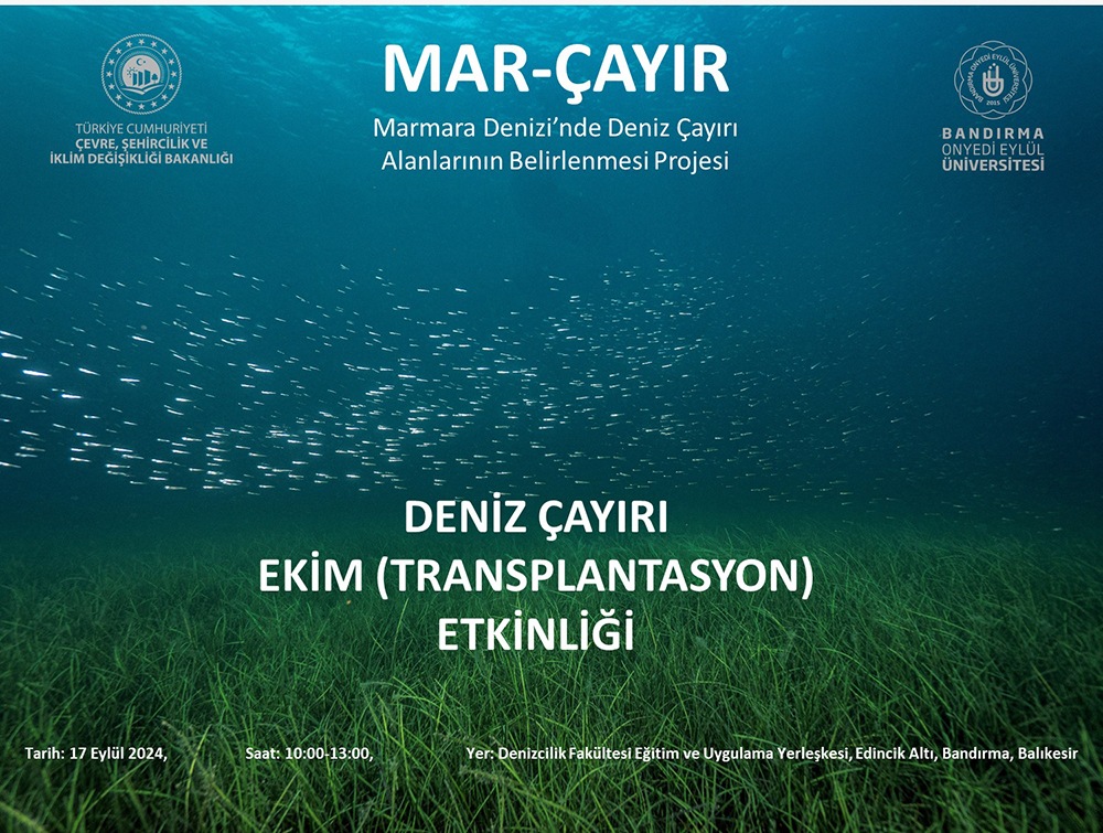 Deniz Çayırı-1