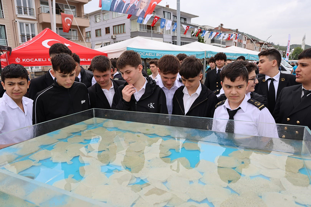 Körfez Diriliyor İzmit'te 54 Bin Balıkla Mavi Devrim (3)