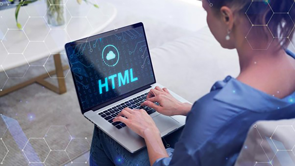 Web Sitesi2