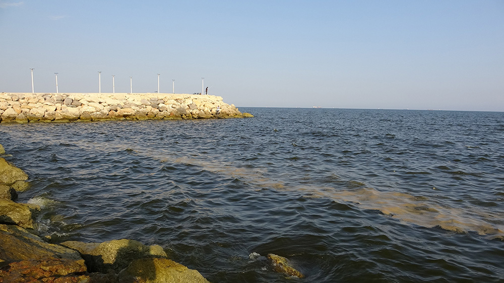 Doğu Akdeniz Kirli Deniz (1)