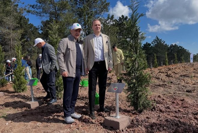 671767805 18582930913062650 8407725876590979421 N-4