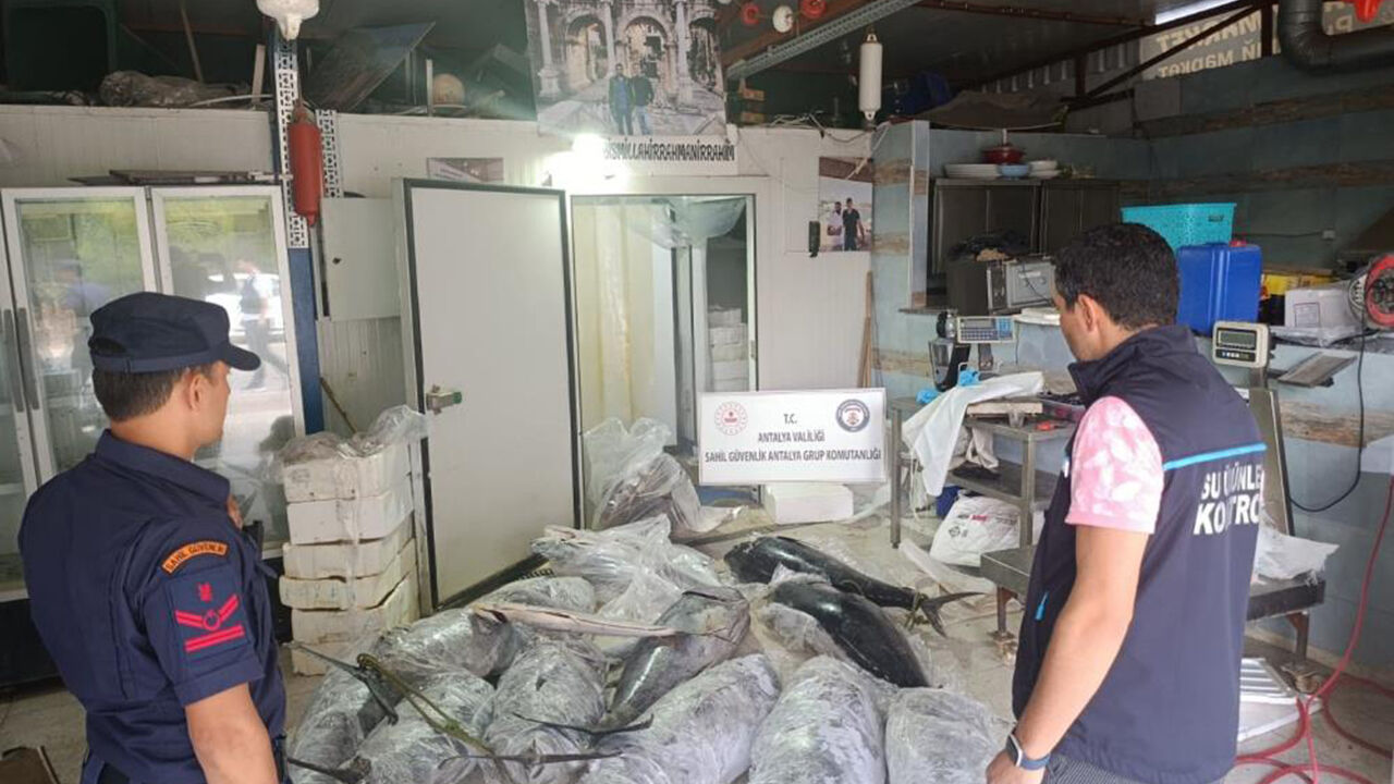 Antalya'da avlanması ve satışı yasak olan 603 kilo balığa el konuldu