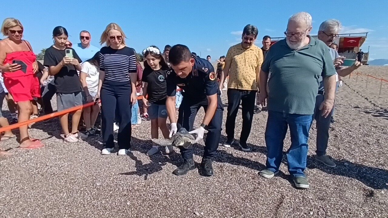 Tedavisi tamamlanan iki yeşil deniz kaplumbağası denize bırakıldı