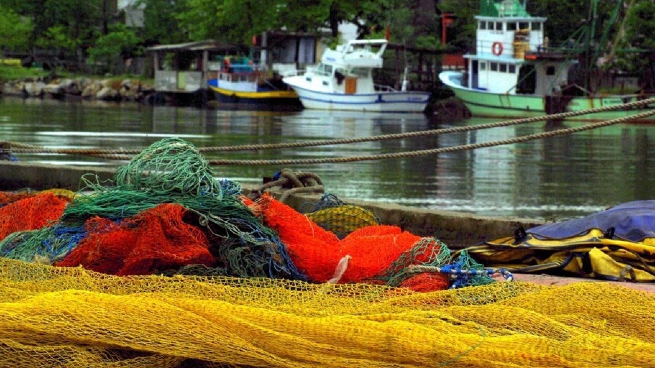 Karasu Somon Balığı İşleme Tesisi kurulacak