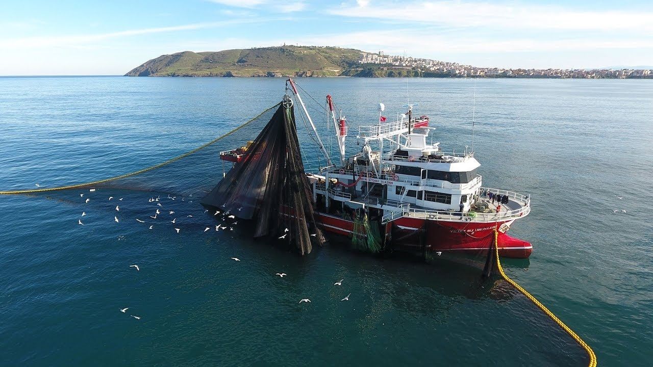 Marmara'da hamsi avı 15 Nisan'a kadar yasaklandı