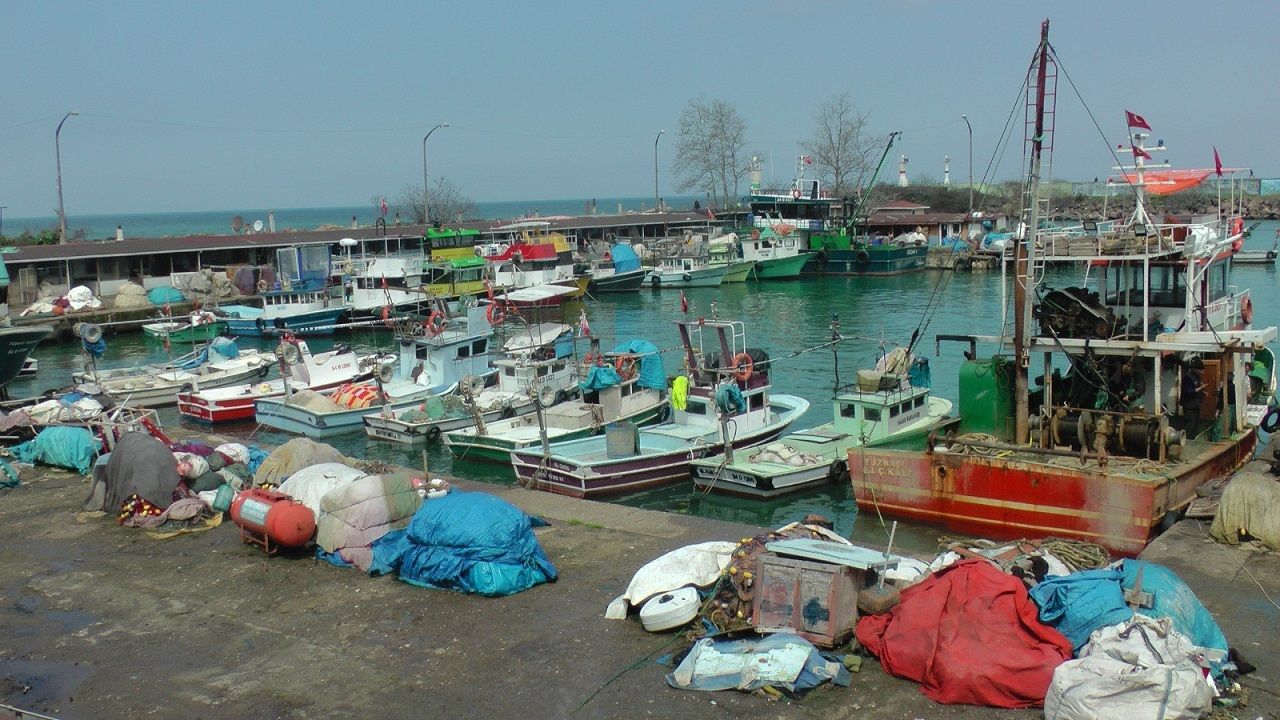 Düzce'de balıkçılar sezonunu kapatıyor