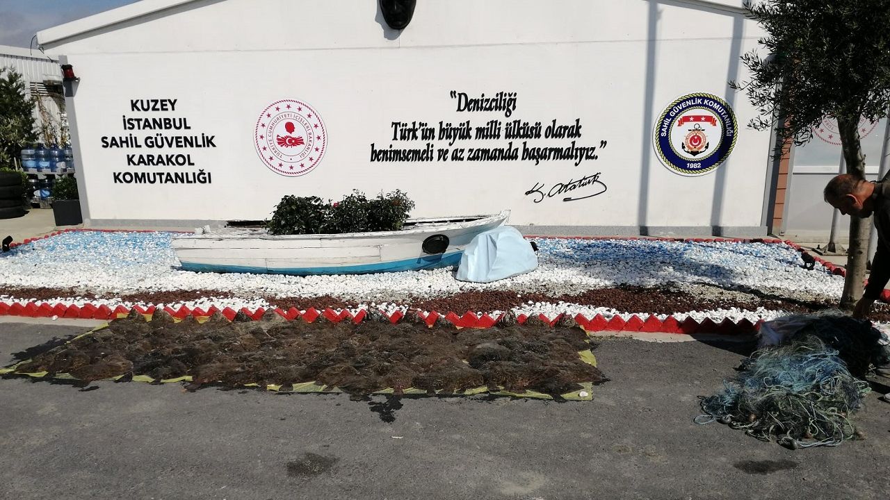 İstanbul yasadışı avlanan yarım ton kalkan balığı ele geçirildi
