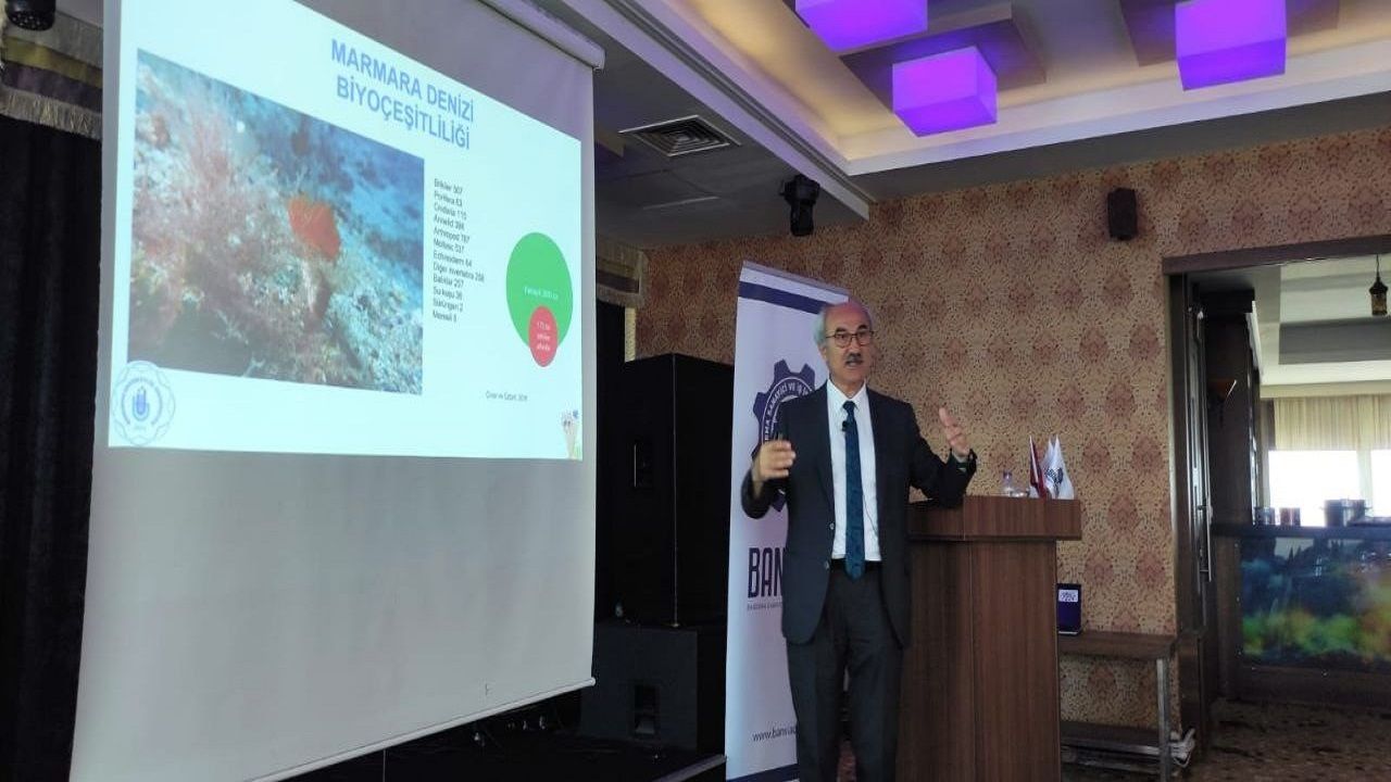 Prof. Sarı: Marmara Denizi'nde balık türlerimiz azaldı, habitat kayıpları yaşanıyor