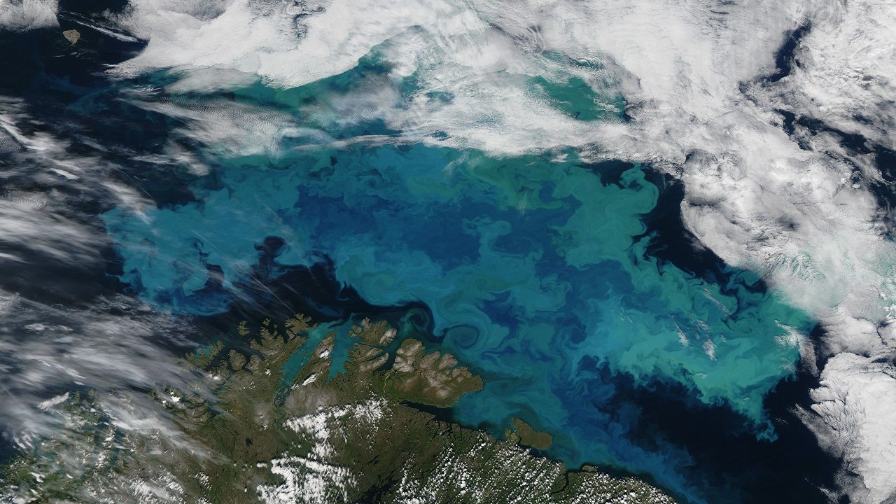 Okyanuslar iklim değişikliği nedeniyle renk değiştiriyor