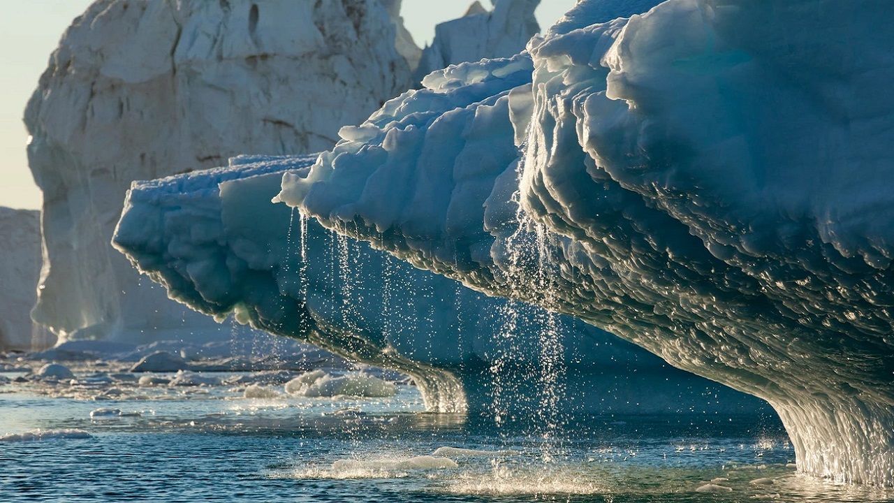 Antarktika'daki buzulların erimesinin sonuçları neler?
