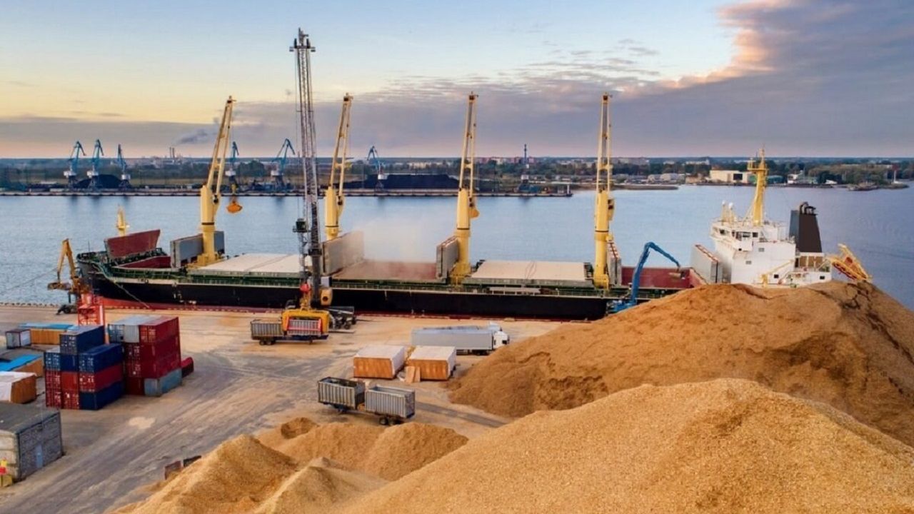 Buğday fiyatları liman saldırıları sonrası yükseldi
