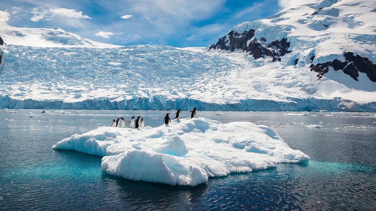 Antarktika son on yılda iki kat ısındı