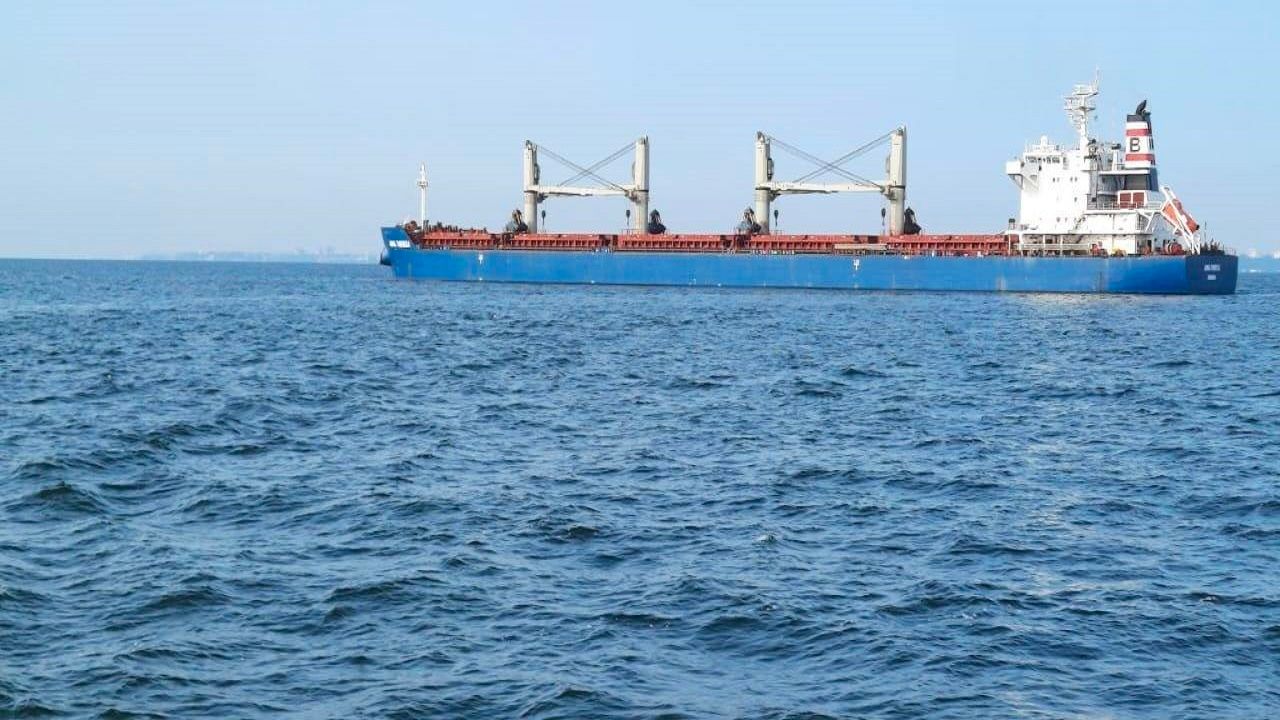 Ukrayna limanlarından iki gemi daha ayrıldı