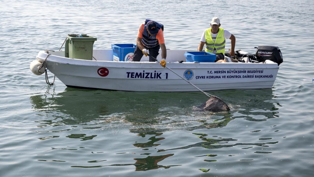 Mersin'de denizden çıkan bir ton atığın 800 kilogramı plastik!