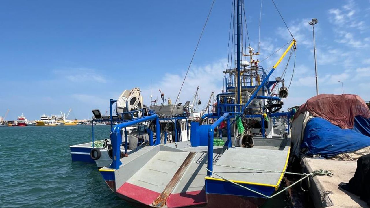 İzmir'de deniz kirliliği balığı vurdu