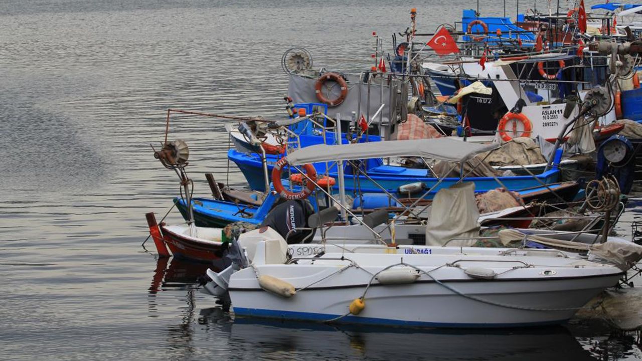 Marmara'nın küçük balıkçılarına müsilaj desteği geliyor
