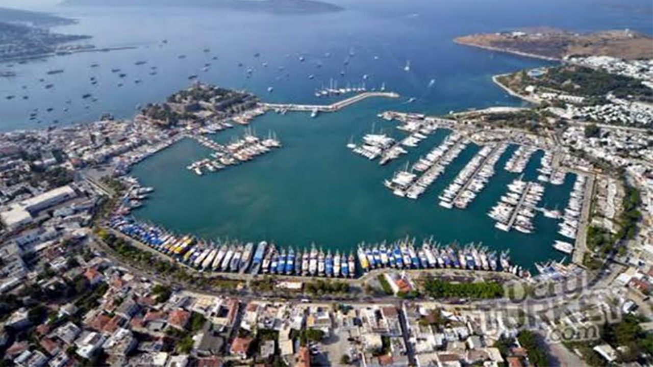 "Yat sayısındaki artış koylardaki yaşamı yok olma noktasına getirdi"