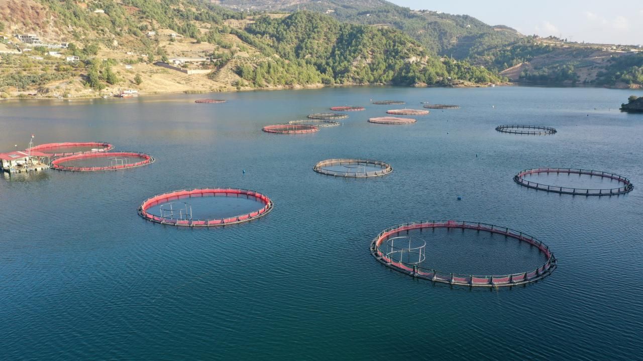 8 ayda 27 ülkeye su ürünü ihracatı