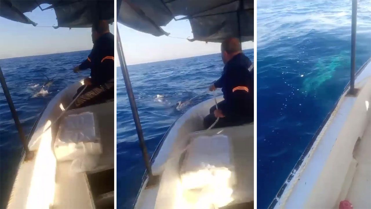 Çapa halatına dolanan köpekbalığı balıkçılara korku dolu anlar yaşattı