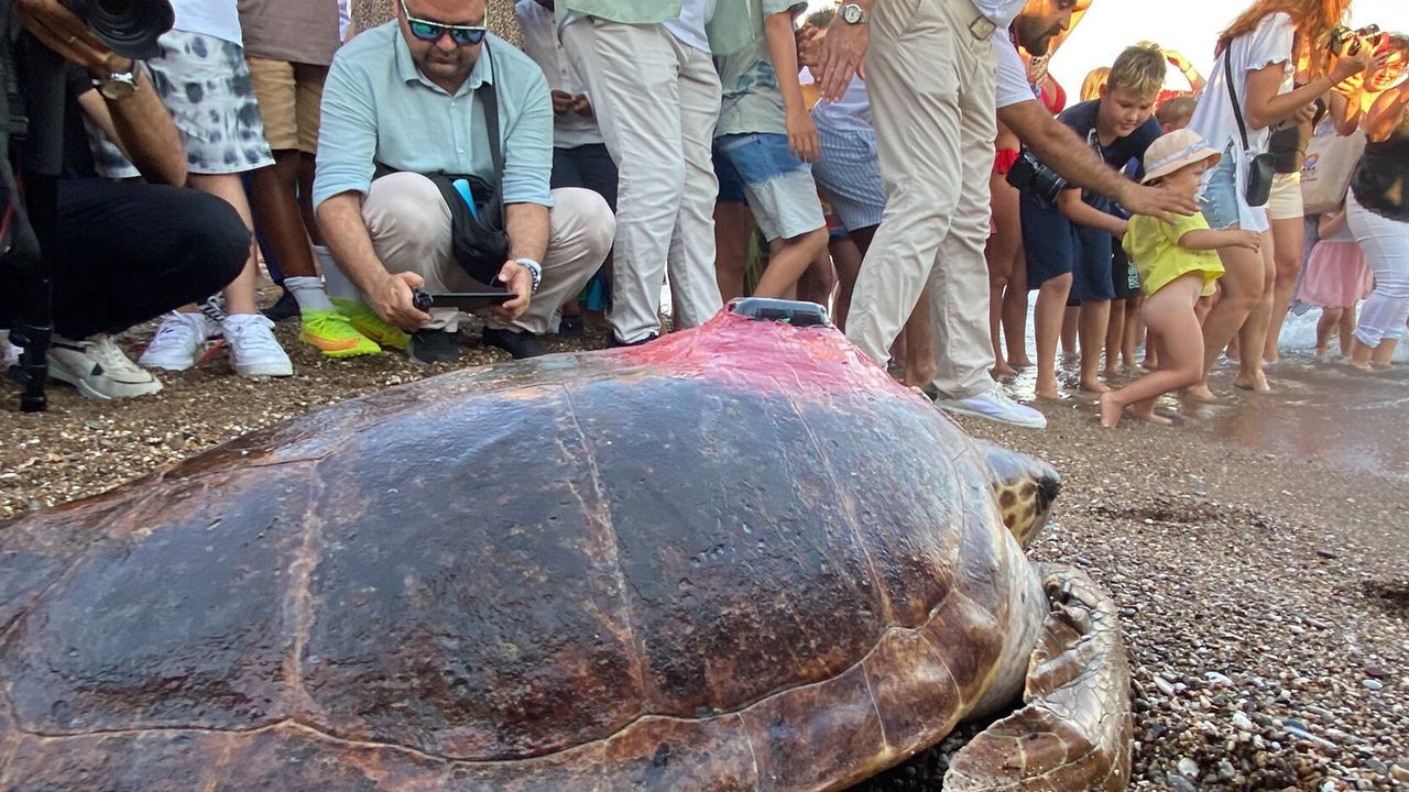 'Lara Barış'ın 600 kilometrelik yolculuğunu 29 bin kişi izledi
