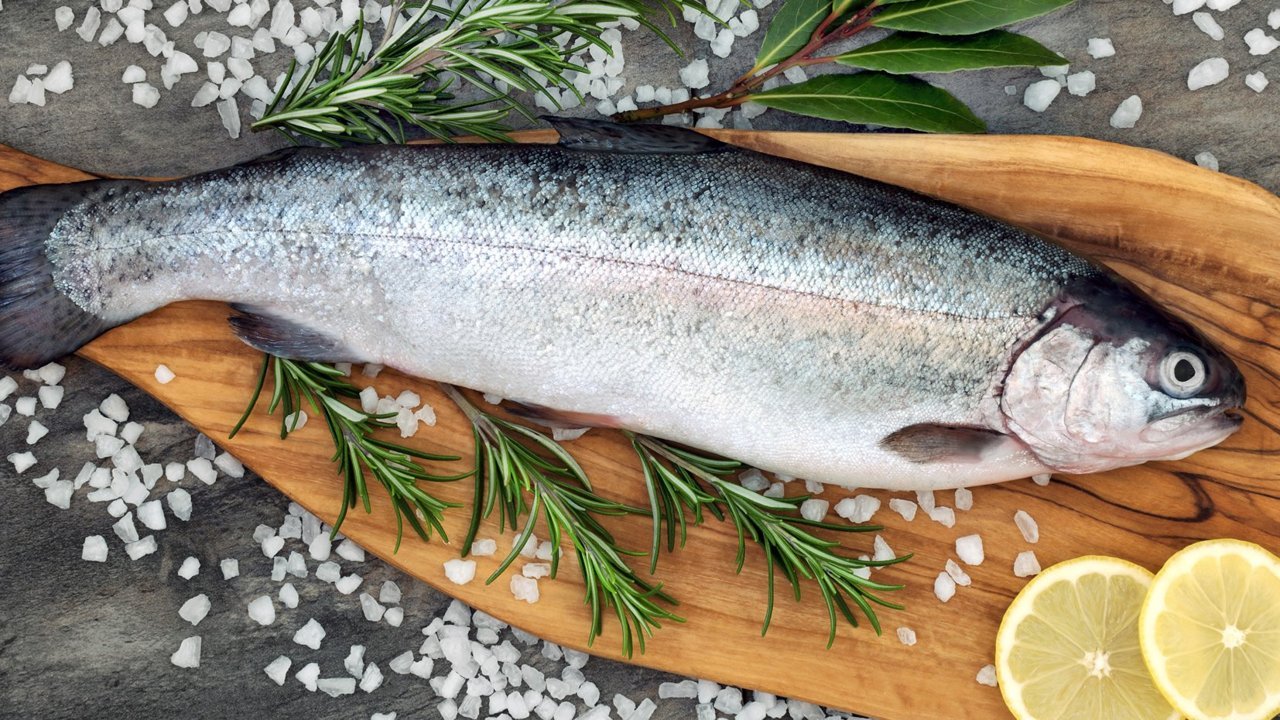 Ege Bölgesi’nde su ürünleri ihracatı 1, 5 milyar doları aştı