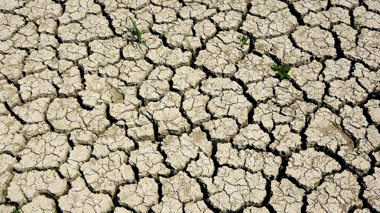 Ege, son 20 yılın en kurak sezonunu yaşıyor