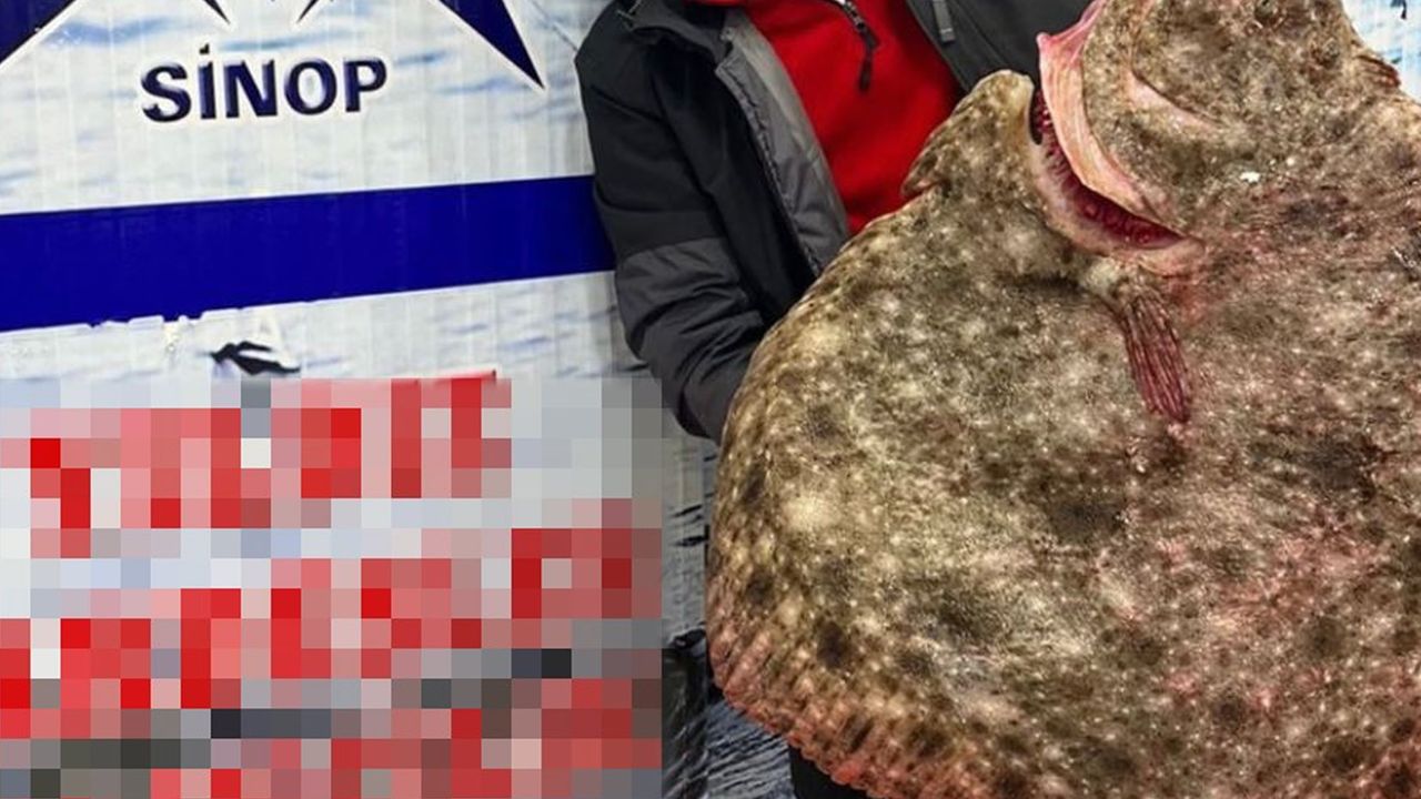 Karadeniz'de avlanan dev kalkan balığı 6 bin TL’ye satıldı