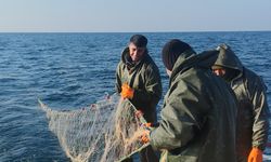 Van Gölü'ndeki balıkçılardan destek çağrısı