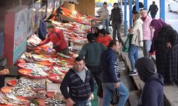 Balıkçılar Marmara'da hamsi avcılığının durdurulmasından memnun
