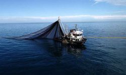 Karadeniz'de balık stokları azalıyor