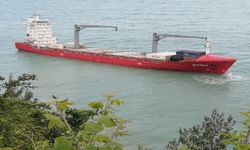 Karaya oturan yük gemisindeki konteynerler tahliye edildi