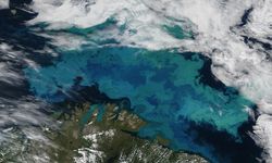 Okyanuslar iklim değişikliği nedeniyle renk değiştiriyor