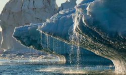 Antarktika'daki buzulların erimesinin sonuçları neler?