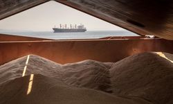 Ukrayna, tahıl gemileri için küresel sigortacılarla bir plan üzerinde çalışıyor