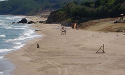 Şile sahilde bulunan mühimmatlar imha ediliyor