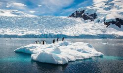 Antarktika son on yılda iki kat ısındı