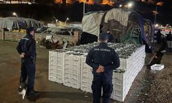 İstanbul Boğazı’nda yasa dışı avlanan 9 ton istavrite el konuldu