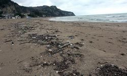 Karadeniz'e sürüklenen çöpler İnkumu sahiline vurdu