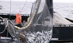 Balıkçılardan sigorta teşviği talebi