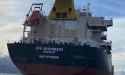 Efe Chartering, filosuna ultramax gemi kattı