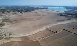 Seyhan Baraj Gölü'nde sular çekildi