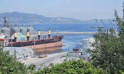 Bandırma Çelebi Limanı kirliliğe sebep oluyor