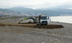 Faroz Limanı'na 21 tonluk koruma