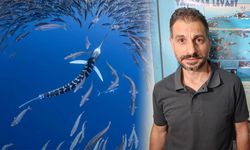 Akdeniz’de deniz suyu sıcaklığı arttı zehirli balıklar geldi