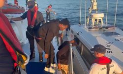 Bodrum'da 19 düzensiz göçmen yakalandı