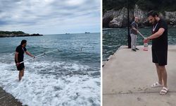 Zonguldak'ta deniz suyu kalitesi takip altında