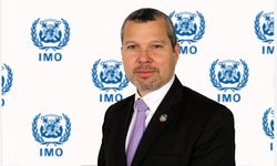 Kızıldeniz'deki saldırılar için IMO'dan diplomatik çözüm çağrısı