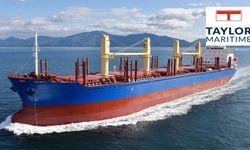 Taylor Maritime, 176,3 milyon dolar karşılığında 10 gemi sattı
