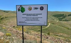 GBD’den 15. yılda Erzincan’da 2 bin fidanlı hatıra ormanı